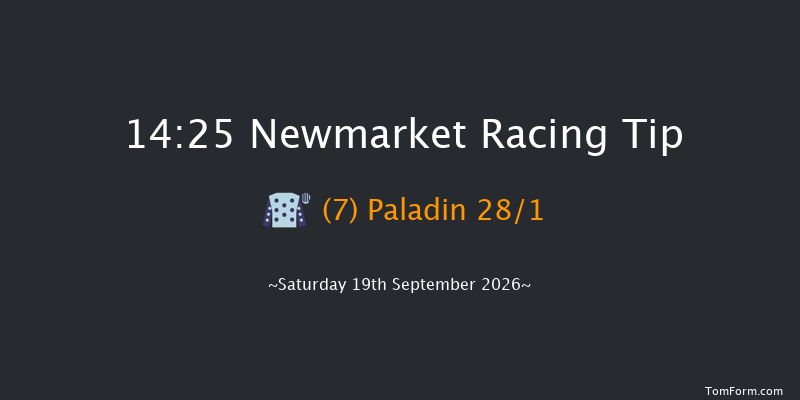 Newmarket 14-25 (Class 4) 7f Sat 22nd Aug 2026
