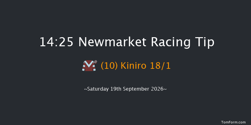 Newmarket 14-25 (Class 4) 7f Sat 22nd Aug 2026