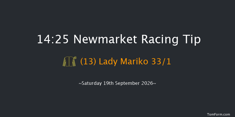 Newmarket 14-25 (Class 4) 7f Sat 22nd Aug 2026