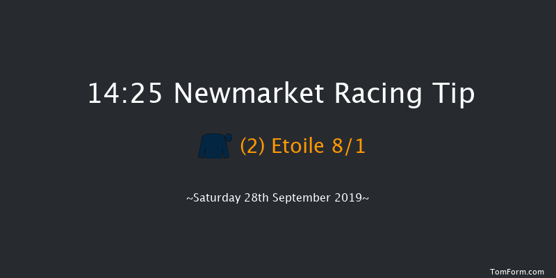 Newmarket 14:25 Group 1 (Class 1) 6f Fri 27th Sep 2019