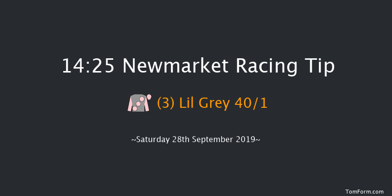 Newmarket 14:25 Group 1 (Class 1) 6f Fri 27th Sep 2019