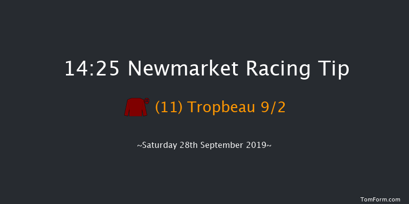 Newmarket 14:25 Group 1 (Class 1) 6f Fri 27th Sep 2019