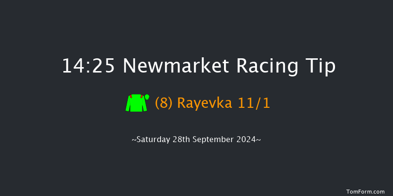 Newmarket  14:25 Group 1 (Class 1) 6f Fri 27th Sep 2024