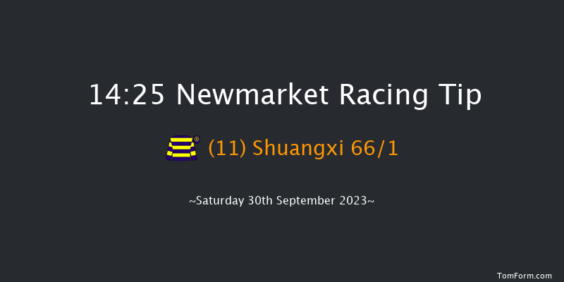 Newmarket 14:25 Group 1 (Class 1) 6f Fri 29th Sep 2023