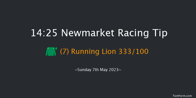 Newmarket 14:25 Listed (Class 1) 10f Sat 6th May 2023