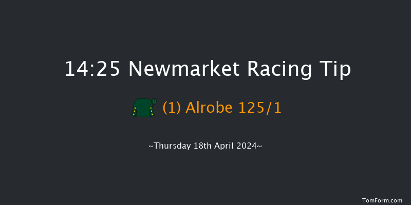 Newmarket  14:25 Maiden (Class 2) 8f Wed 17th Apr 2024