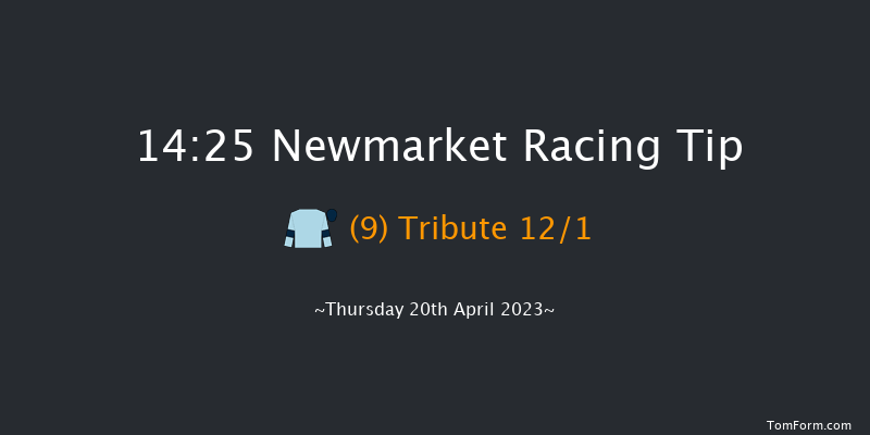 Newmarket 14:25 Maiden (Class 3) 8f Wed 19th Apr 2023