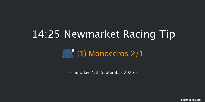 Newmarket 14-25 (Class 4) 8f Sat 20th Sep 2025