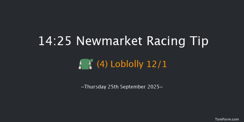 Newmarket 14-25 (Class 4) 8f Sat 20th Sep 2025
