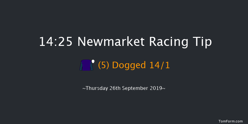 Newmarket 14:25 Handicap (Class 2) 8f Sat 21st Sep 2019