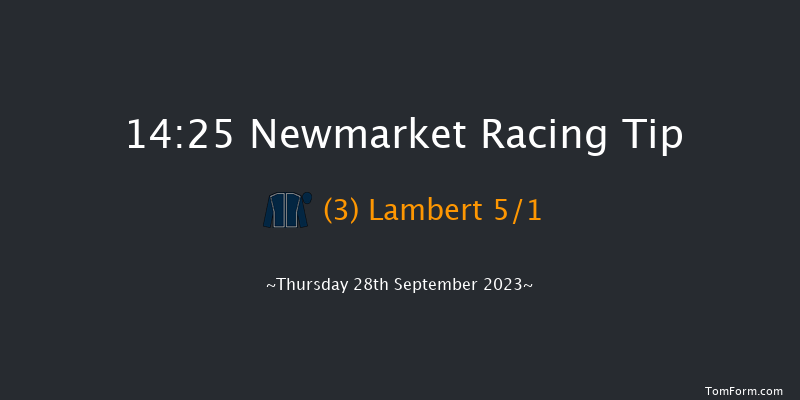 Newmarket 14:25 Handicap (Class 4) 8f Sat 23rd Sep 2023
