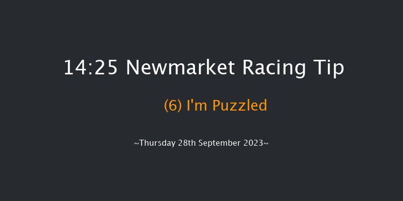 Newmarket 14:25 Handicap (Class 4) 8f Sat 23rd Sep 2023