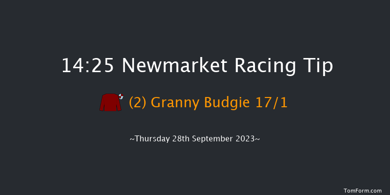 Newmarket 14:25 Handicap (Class 4) 8f Sat 23rd Sep 2023