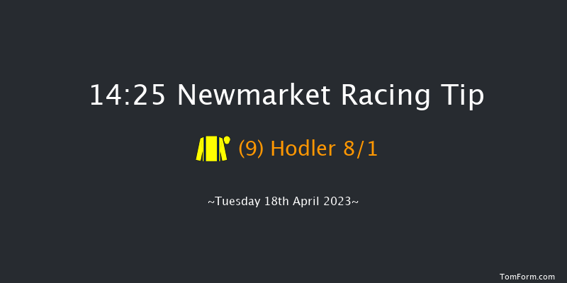 Newmarket 14:25 Handicap (Class 2) 7f Sat 29th Oct 2022