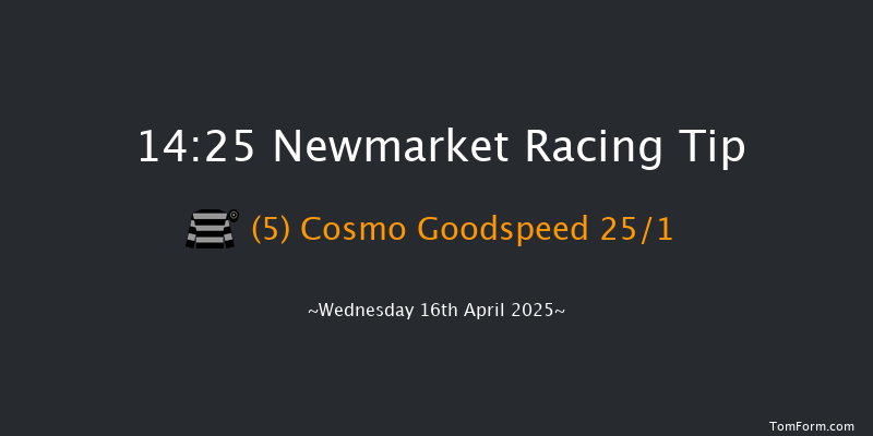 Newmarket 14-25 (Class 2) 8f Tue 15th Apr 2025