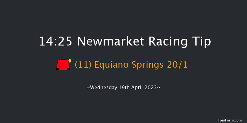 Newmarket 14:25 Handicap (Class 2) 6f Tue 18th Apr 2023
