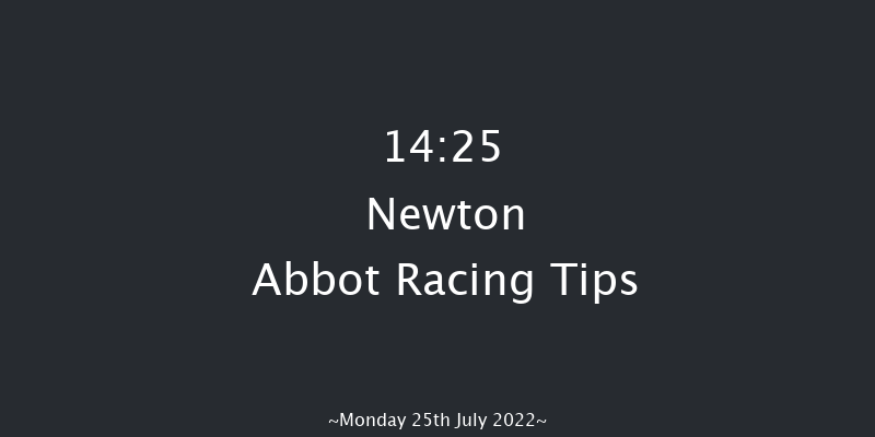 Newton Abbot 14:25 Handicap Hurdle (Class 3) 18f Sun 17th Jul 2022