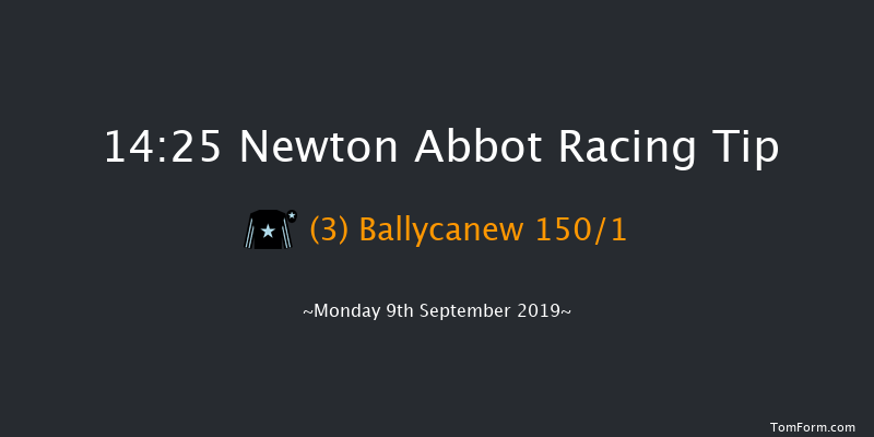 Newton Abbot 14:25 Maiden Hurdle (Class 3) 18f Sat 31st Aug 2019