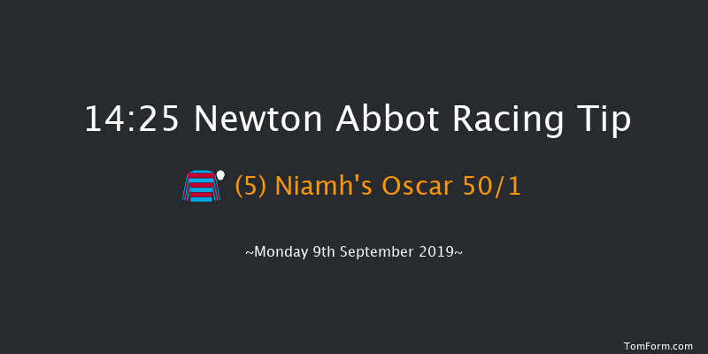 Newton Abbot 14:25 Maiden Hurdle (Class 3) 18f Sat 31st Aug 2019