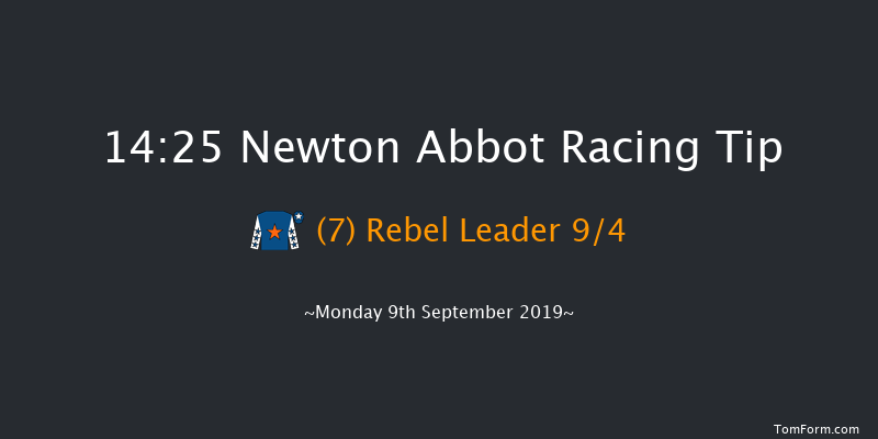 Newton Abbot 14:25 Maiden Hurdle (Class 3) 18f Sat 31st Aug 2019