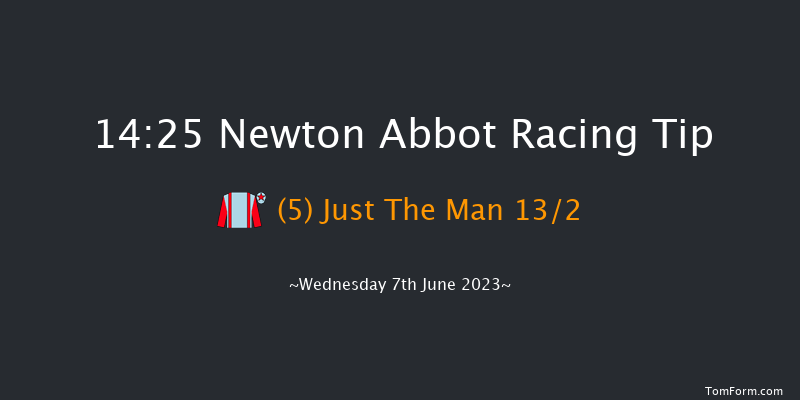 Newton Abbot 14:25 Handicap Hurdle (Class 3) 17f Wed 31st May 2023