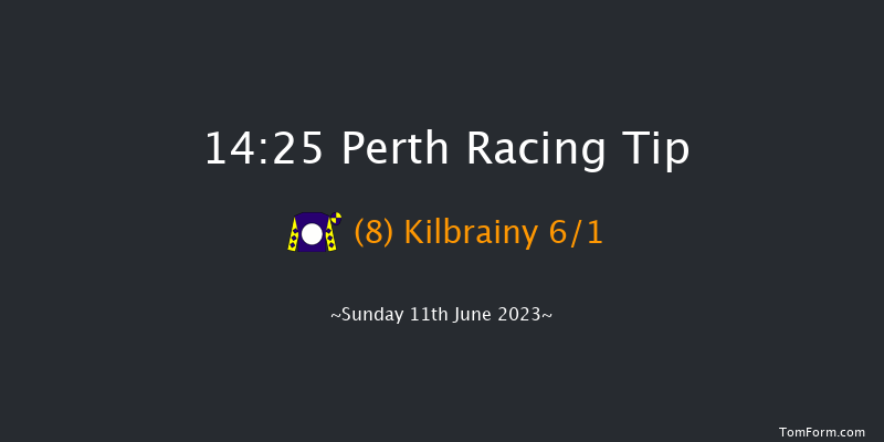 Perth 14:25 Handicap Hurdle (Class 4) 16f Thu 18th May 2023