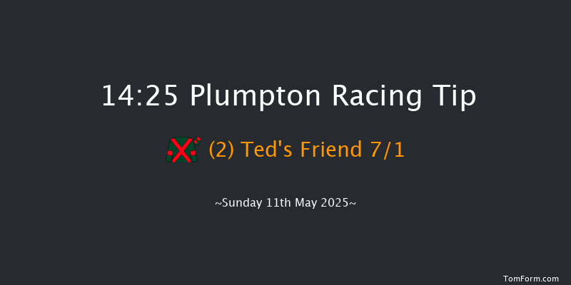 Plumpton 14-25 (Class 5) 24f Mon 21st Apr 2025