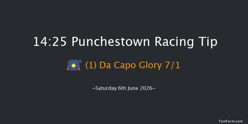 Punchestown 14-25 24f Wed 13th May 2026