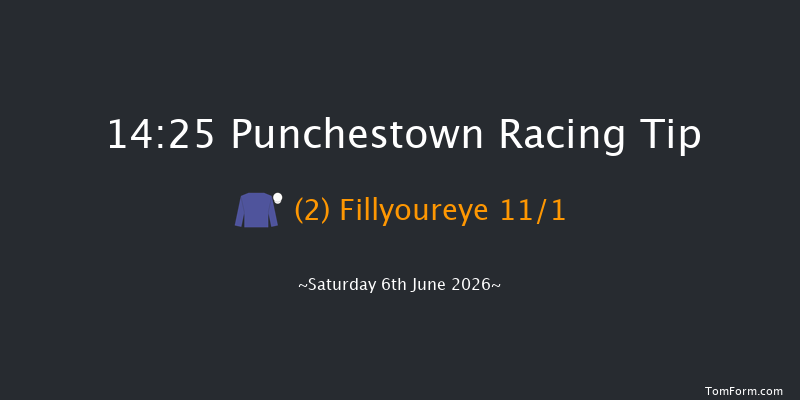 Punchestown 14-25 24f Wed 13th May 2026