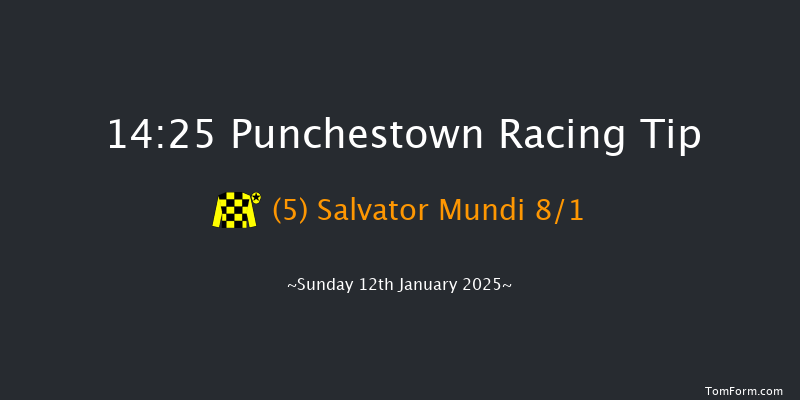 Punchestown  14:25 Maiden Hurdle 17f Tue 31st Dec 2024