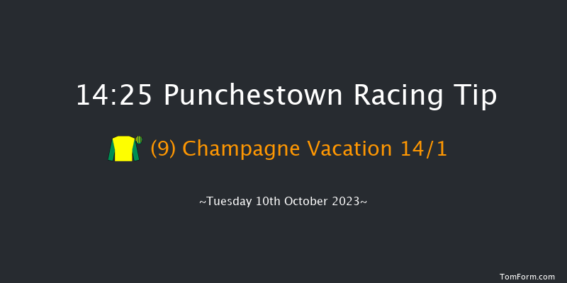Punchestown 14:25 Handicap Hurdle 17f Wed 13th Sep 2023