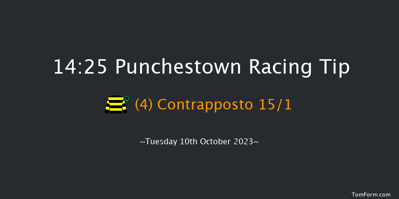 Punchestown 14:25 Handicap Hurdle 17f Wed 13th Sep 2023