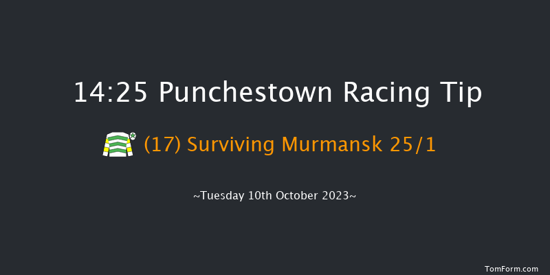 Punchestown 14:25 Handicap Hurdle 17f Wed 13th Sep 2023