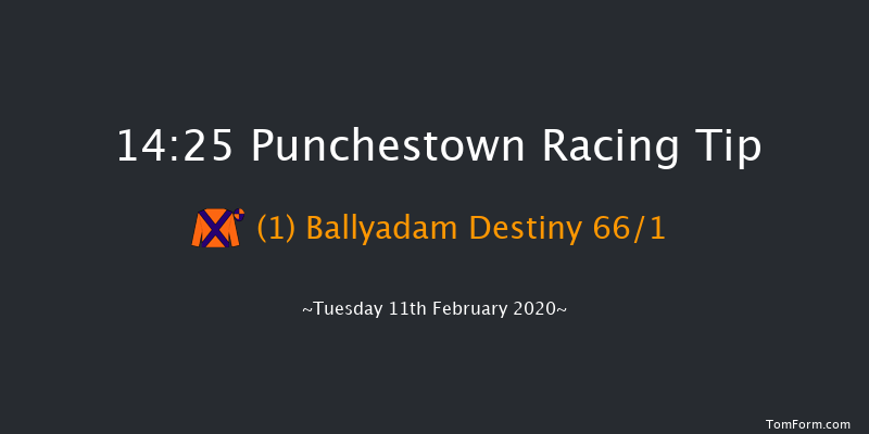 Leinster Leader Maiden Hurdle Punchestown 14:25 Maiden Hurdle 20f Wed 15th Jan 2020