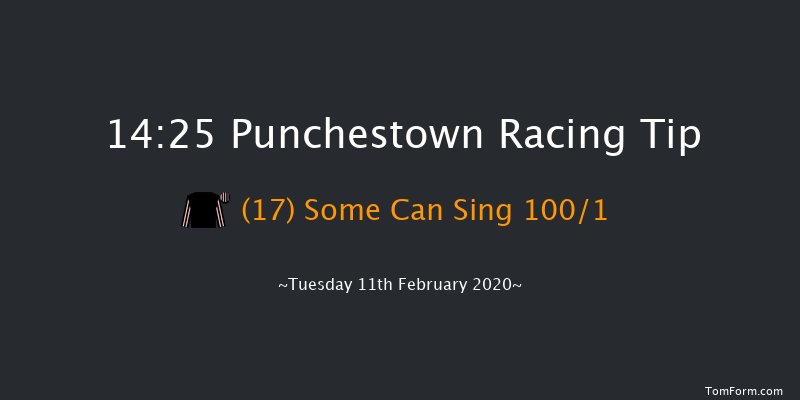 Leinster Leader Maiden Hurdle Punchestown 14:25 Maiden Hurdle 20f Wed 15th Jan 2020