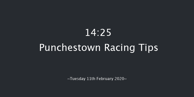 Leinster Leader Maiden Hurdle Punchestown 14:25 Maiden Hurdle 20f Wed 15th Jan 2020