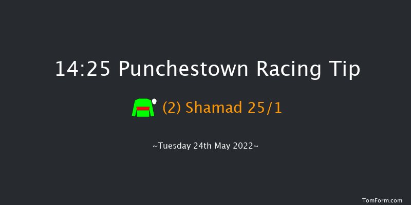 Punchestown 14:25 Handicap Hurdle 16f Sat 30th Apr 2022