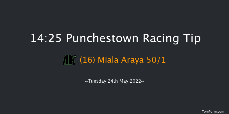 Punchestown 14:25 Handicap Hurdle 16f Sat 30th Apr 2022