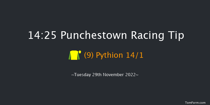 Punchestown 14:25 Handicap Hurdle 16f Sun 20th Nov 2022
