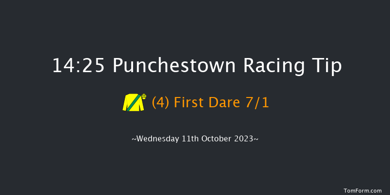 Punchestown 14:25 Handicap Hurdle 16f Tue 10th Oct 2023