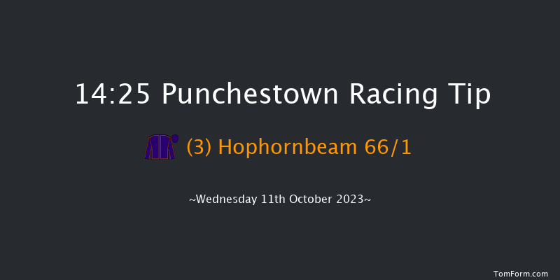 Punchestown 14:25 Handicap Hurdle 16f Tue 10th Oct 2023