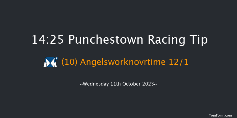 Punchestown 14:25 Handicap Hurdle 16f Tue 10th Oct 2023