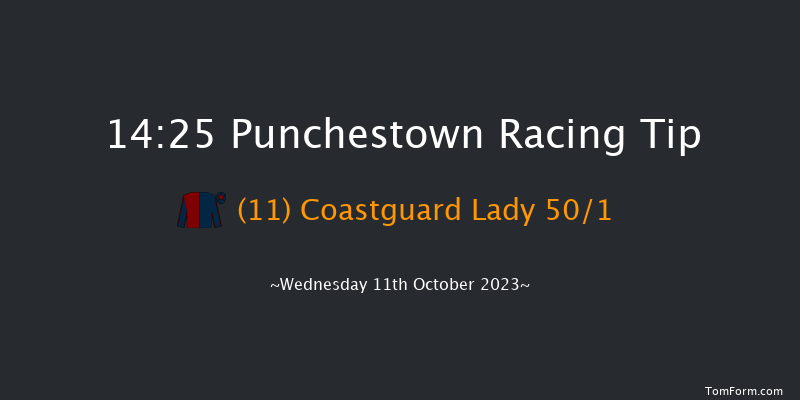 Punchestown 14:25 Handicap Hurdle 16f Tue 10th Oct 2023
