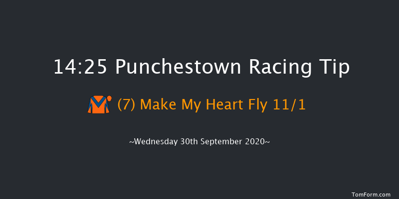 Irish Stallion Farms EBF Handicap Chase Punchestown 14:25 Handicap Chase 21f Tue 29th Sep 2020
