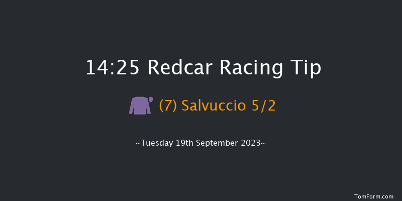 Redcar 14:25 Stakes (Class 5) 5f Sat 26th Aug 2023