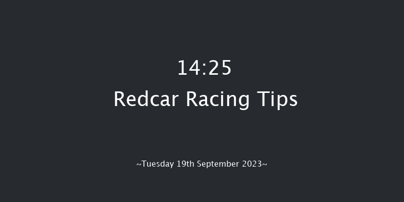 Redcar 14:25 Stakes (Class 5) 5f Sat 26th Aug 2023
