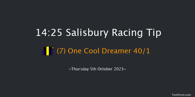 Salisbury 14:25 Stakes (Class 4) 8f Fri 15th Sep 2023