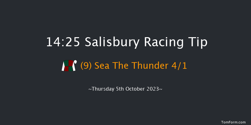 Salisbury 14:25 Stakes (Class 4) 8f Fri 15th Sep 2023