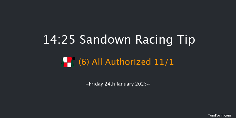 Sandown  14:25 Handicap Chase (Class 3) 15f Sat 4th Jan 2025