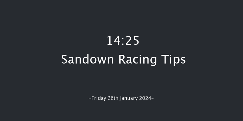 Sandown  14:25 Handicap Chase (Class 3) 15f Sat 9th Dec 2023